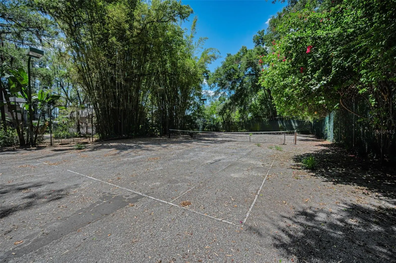 8602 Bonnie Cove Lane, FL