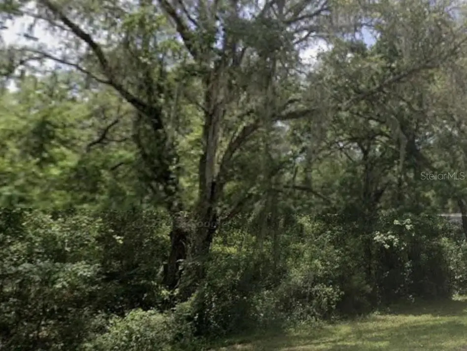 Lake Lindsey Road, FL