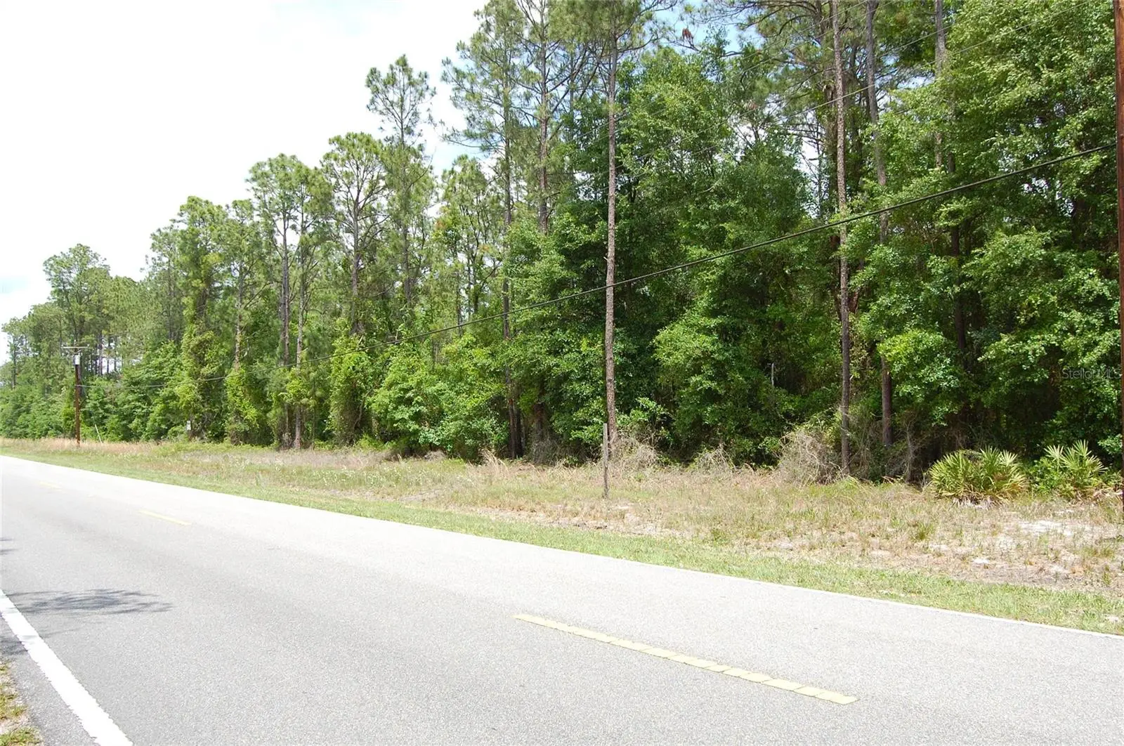 859 River Road, FL