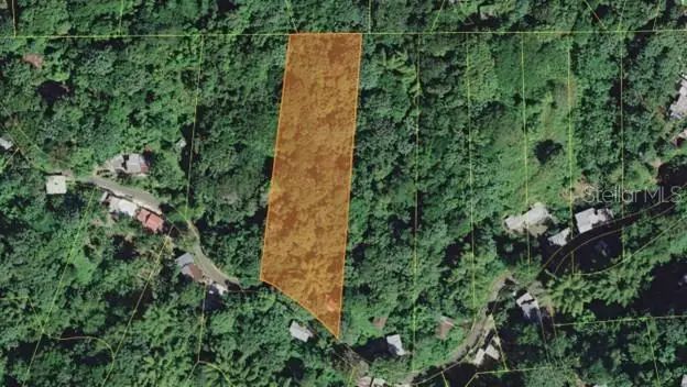 Pr-354 Km 6.4 Marini Community - Quemado Ward, PR