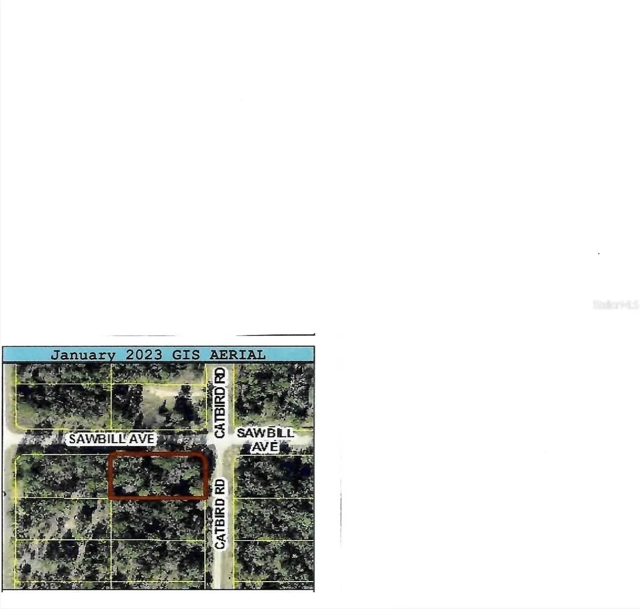 Catbird Road, FL