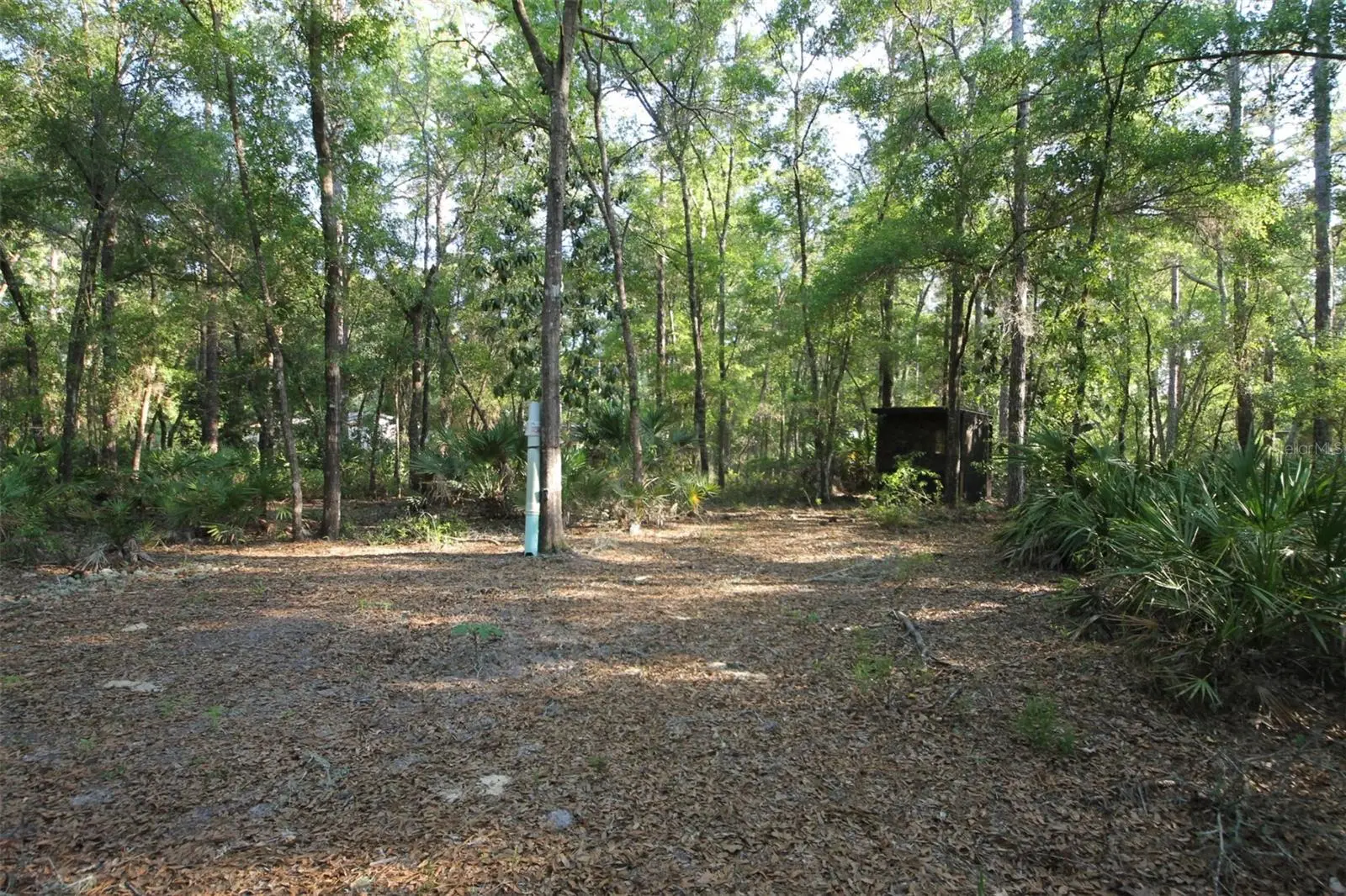 7982 Mayfair Drive, FL