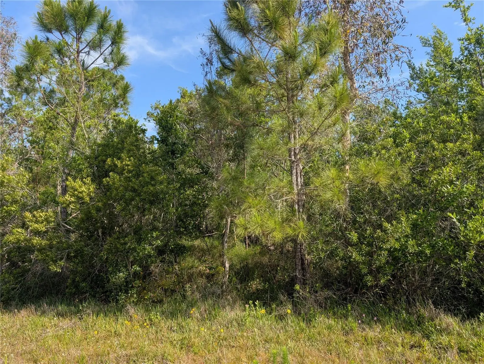 704 Orchid Drive, FL