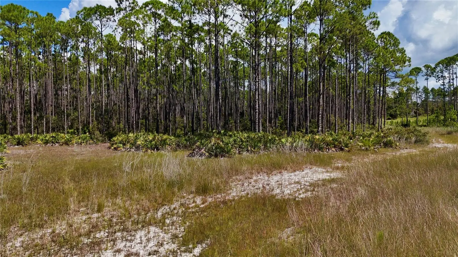 Key Deer Ct,, FL