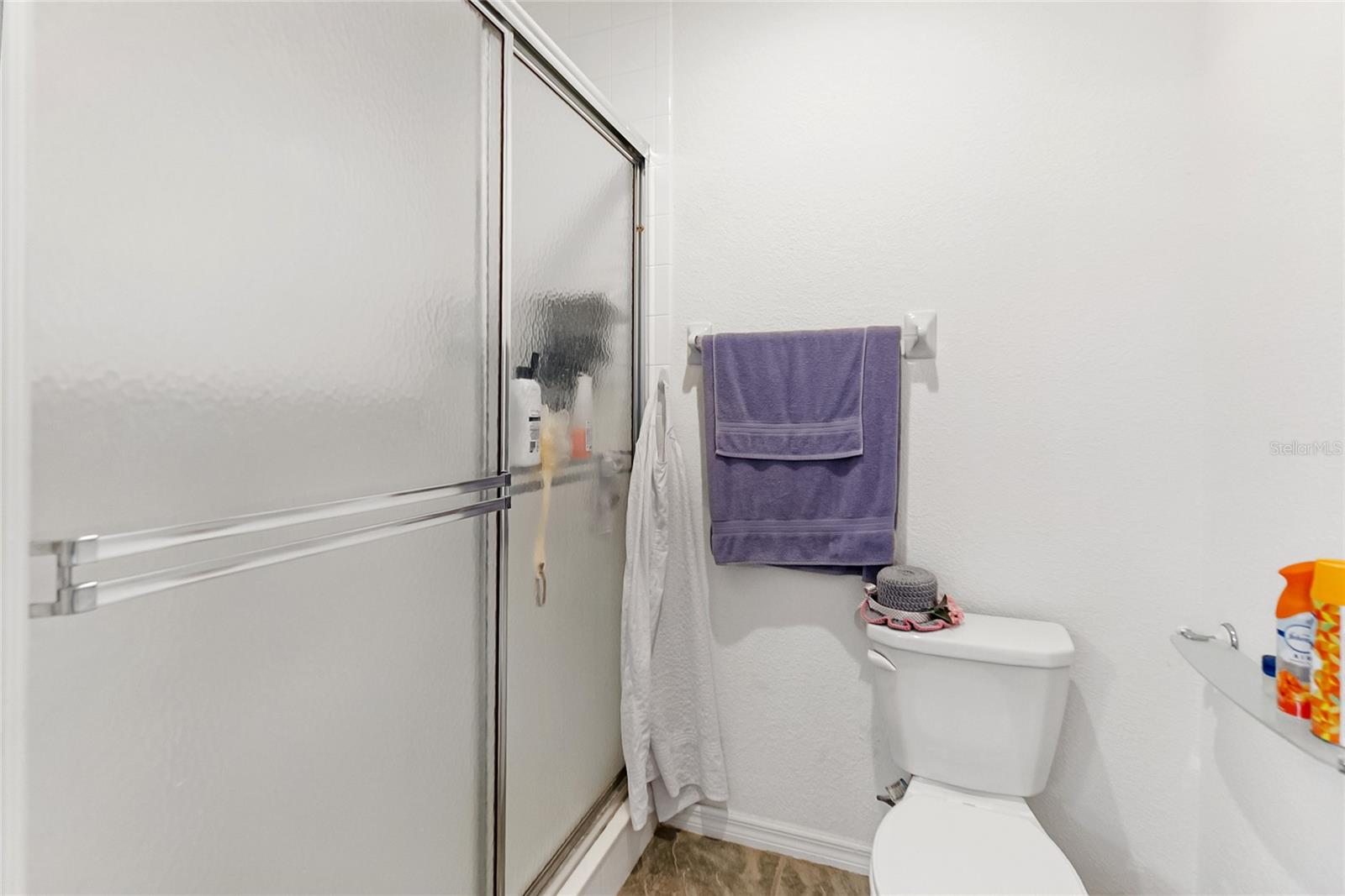 7343 Fountain Palm Circle, FL