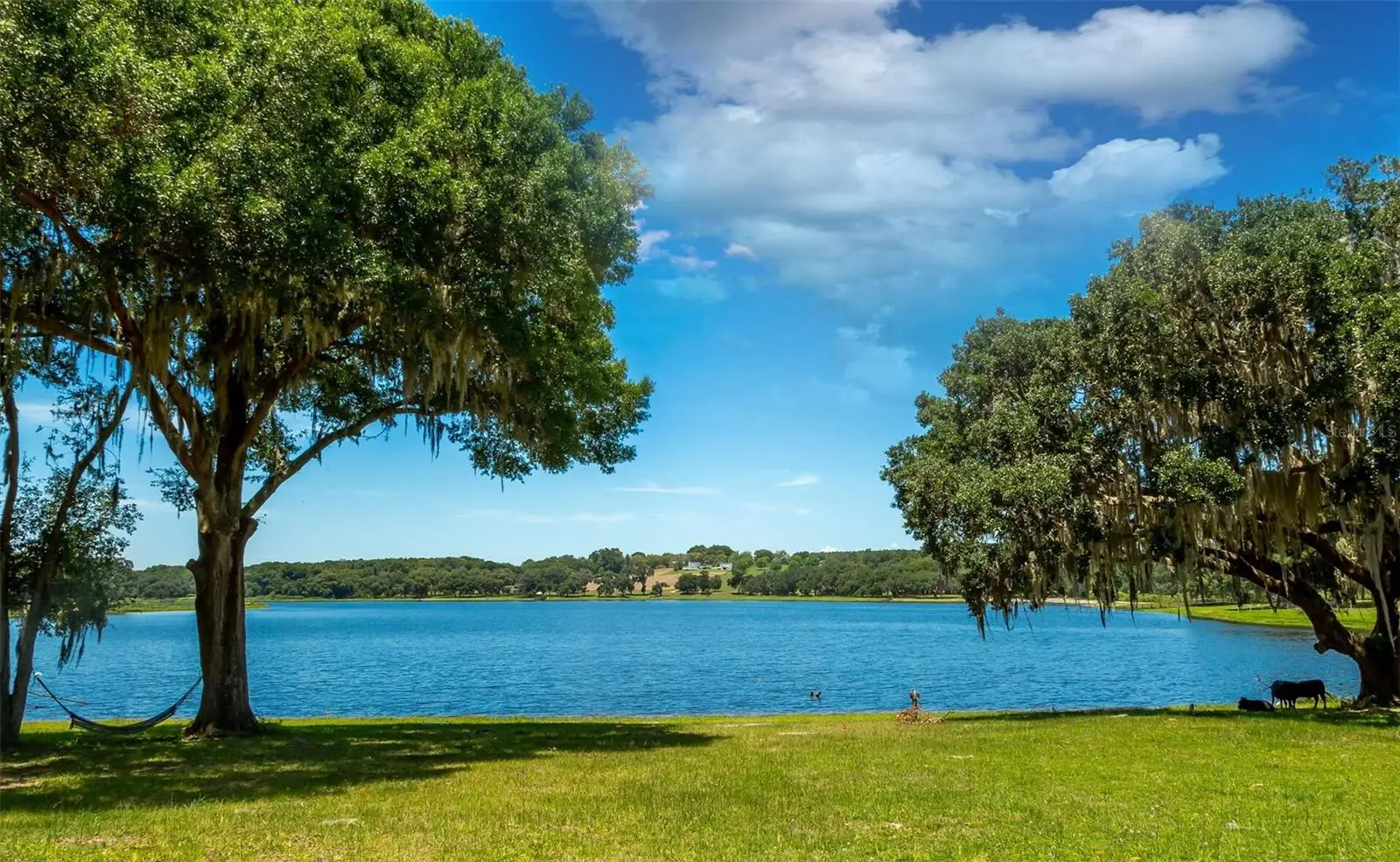 34710 Clayton Road, FL
