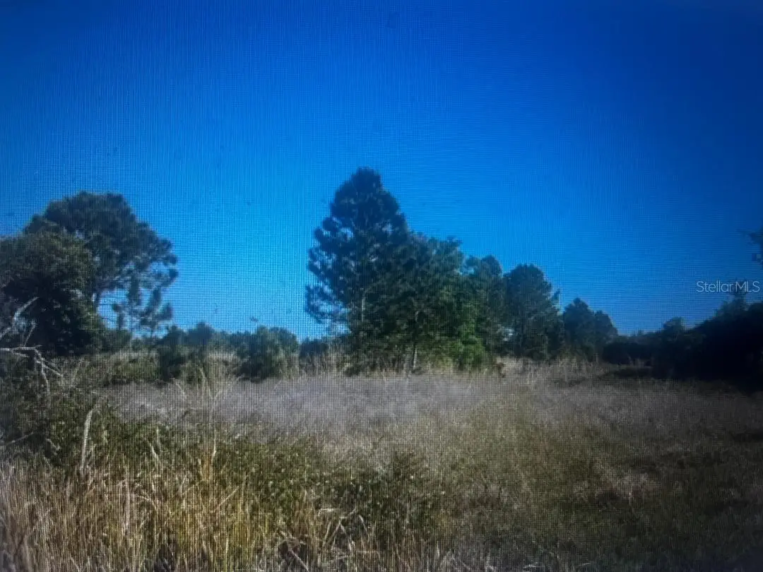 733 Tarry Lane, FL