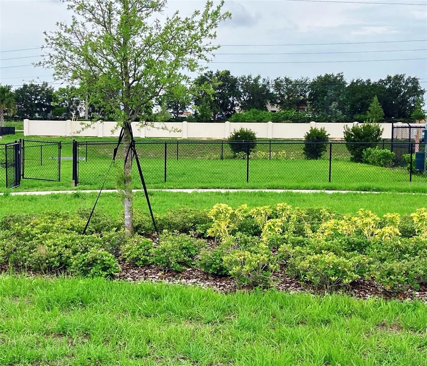 437 Marion Loop, FL