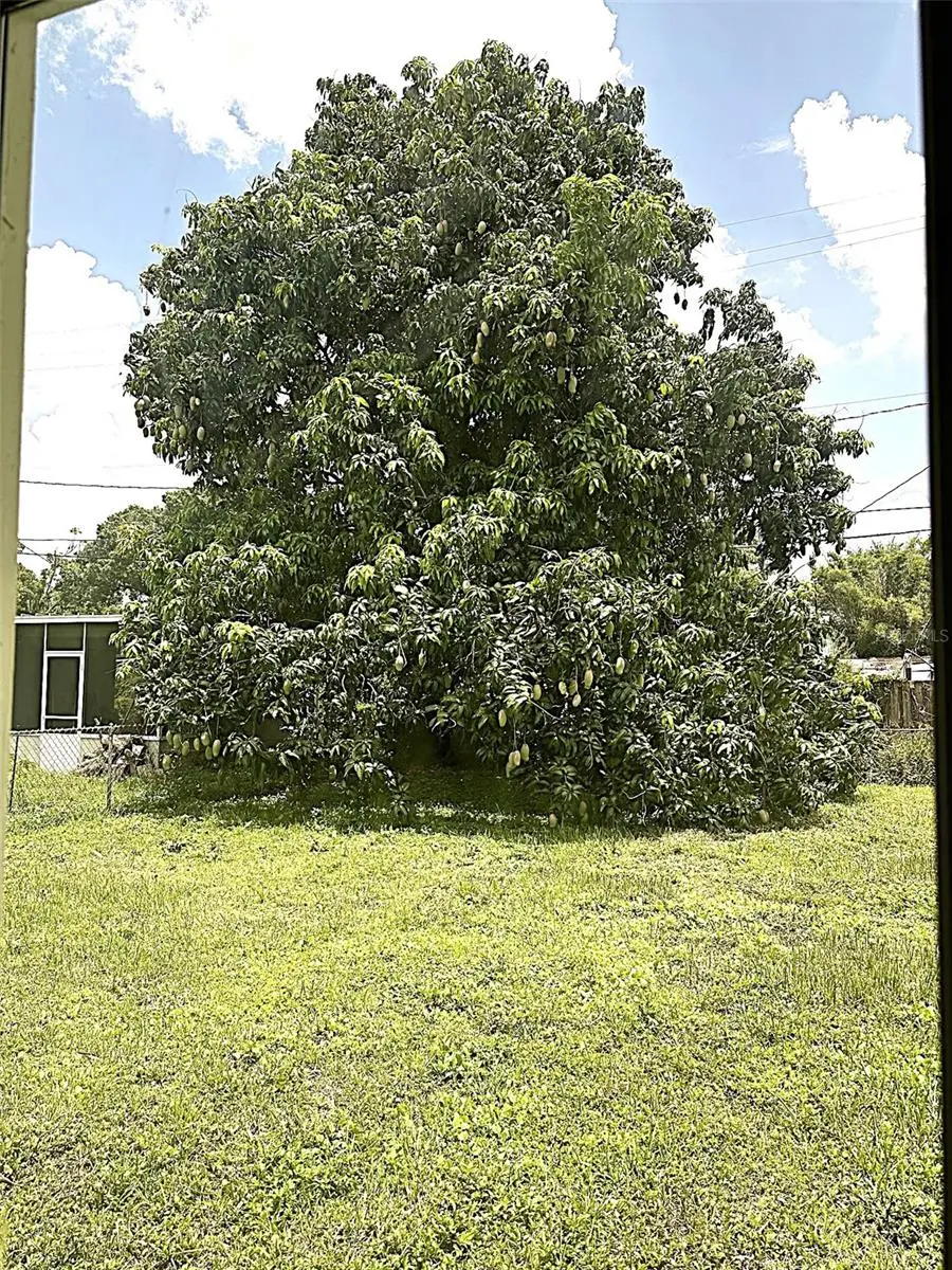 803 Haskell Avenue, FL