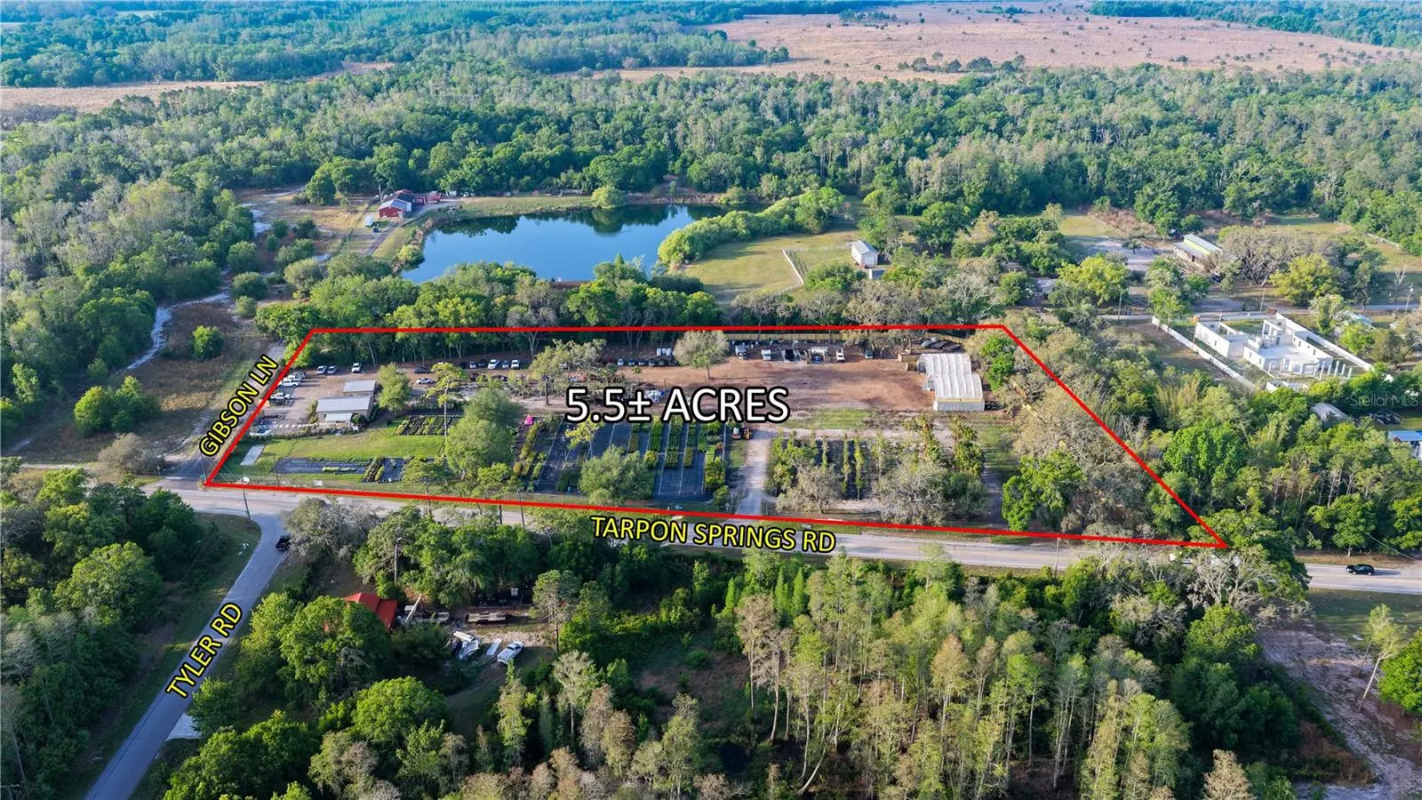 12980 Tarpon Springs Road, FL