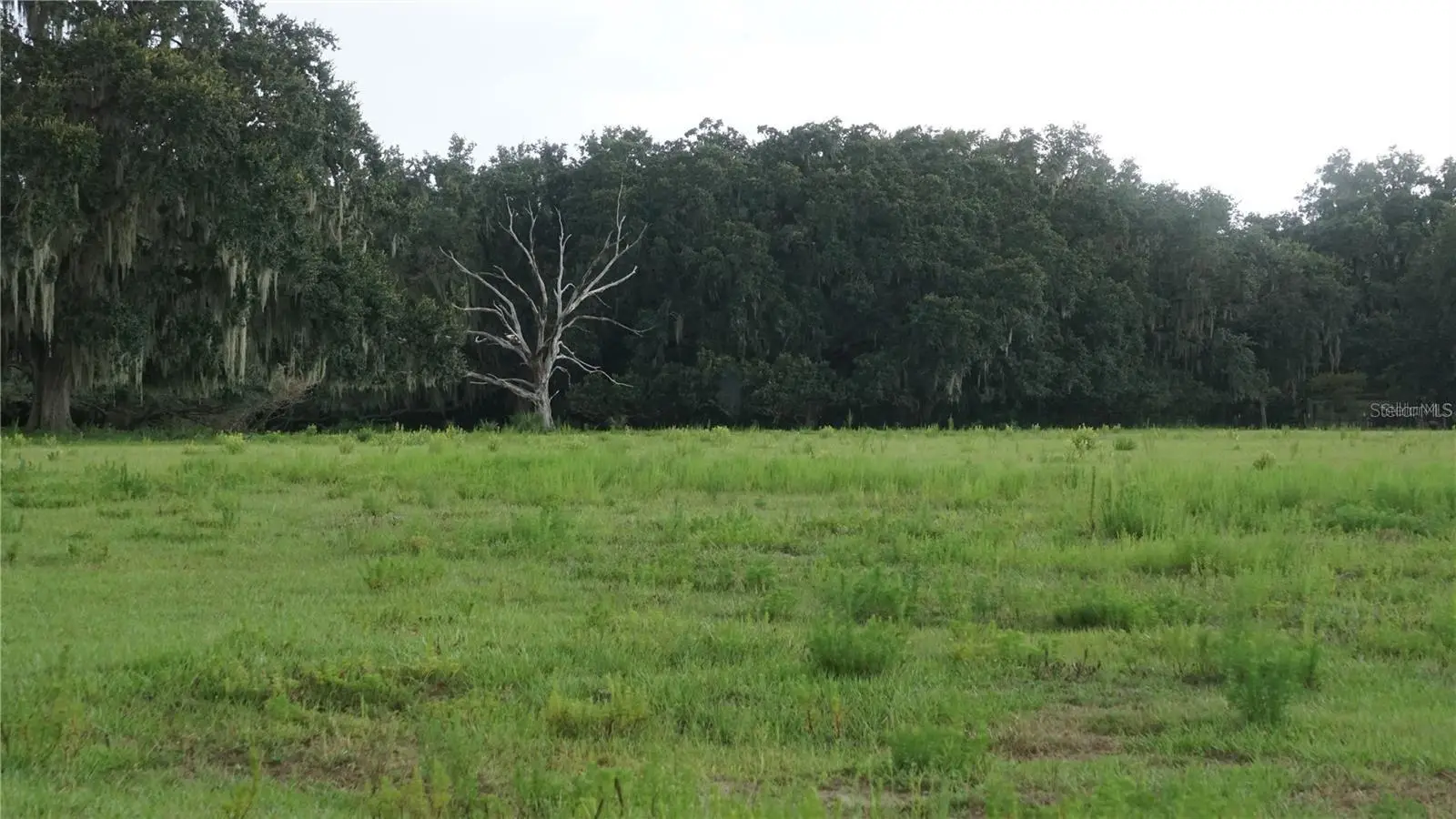 Durant Rd, FL