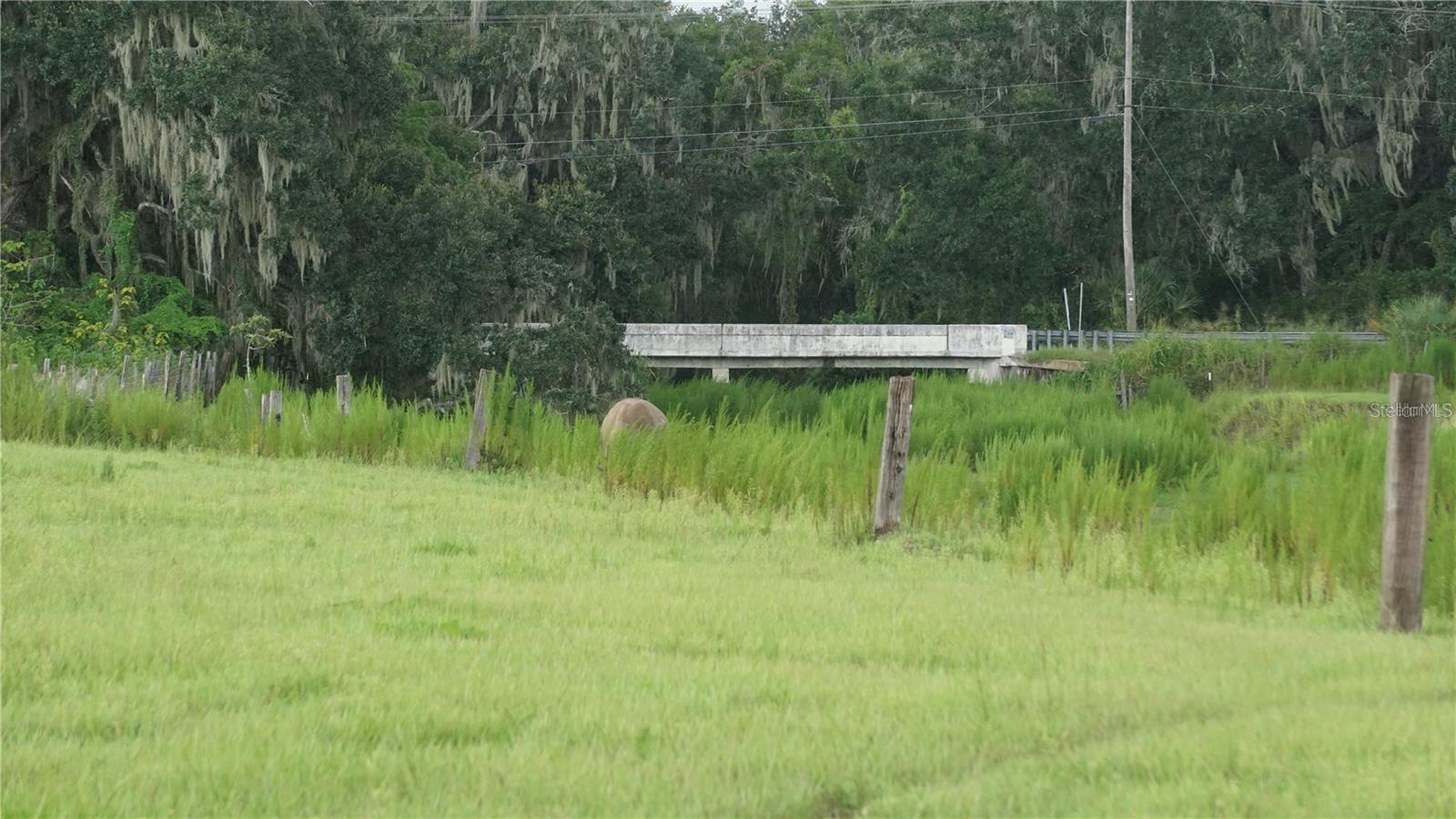 Durant Rd, FL