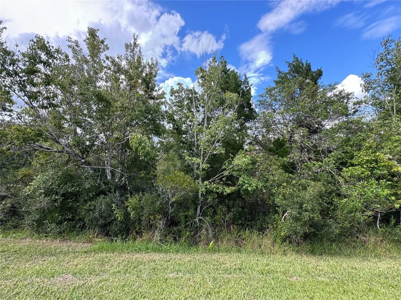 Sheldon Street, FL