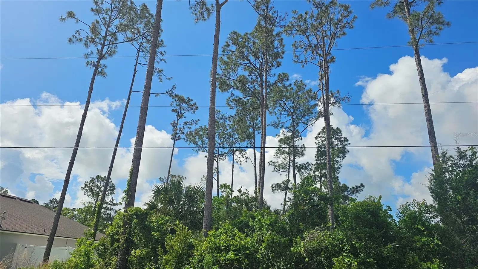 13 Robin Hood Lane, FL
