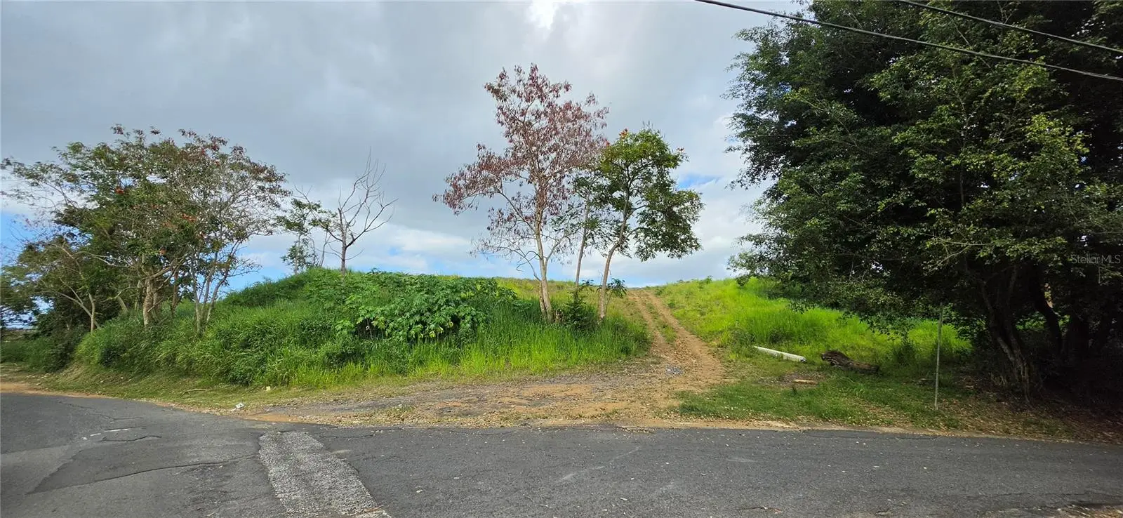 Bo Martin Gonzalez Calle Campeche, PR