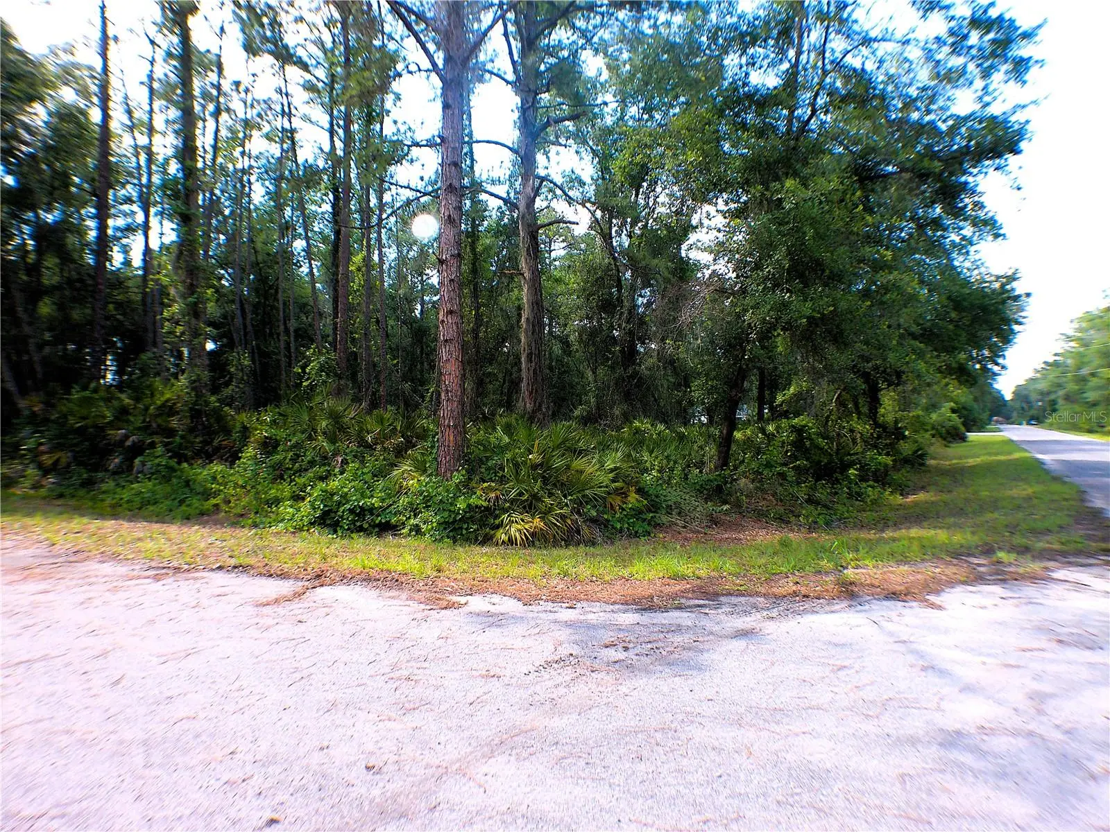 Sequoia Drive, FL