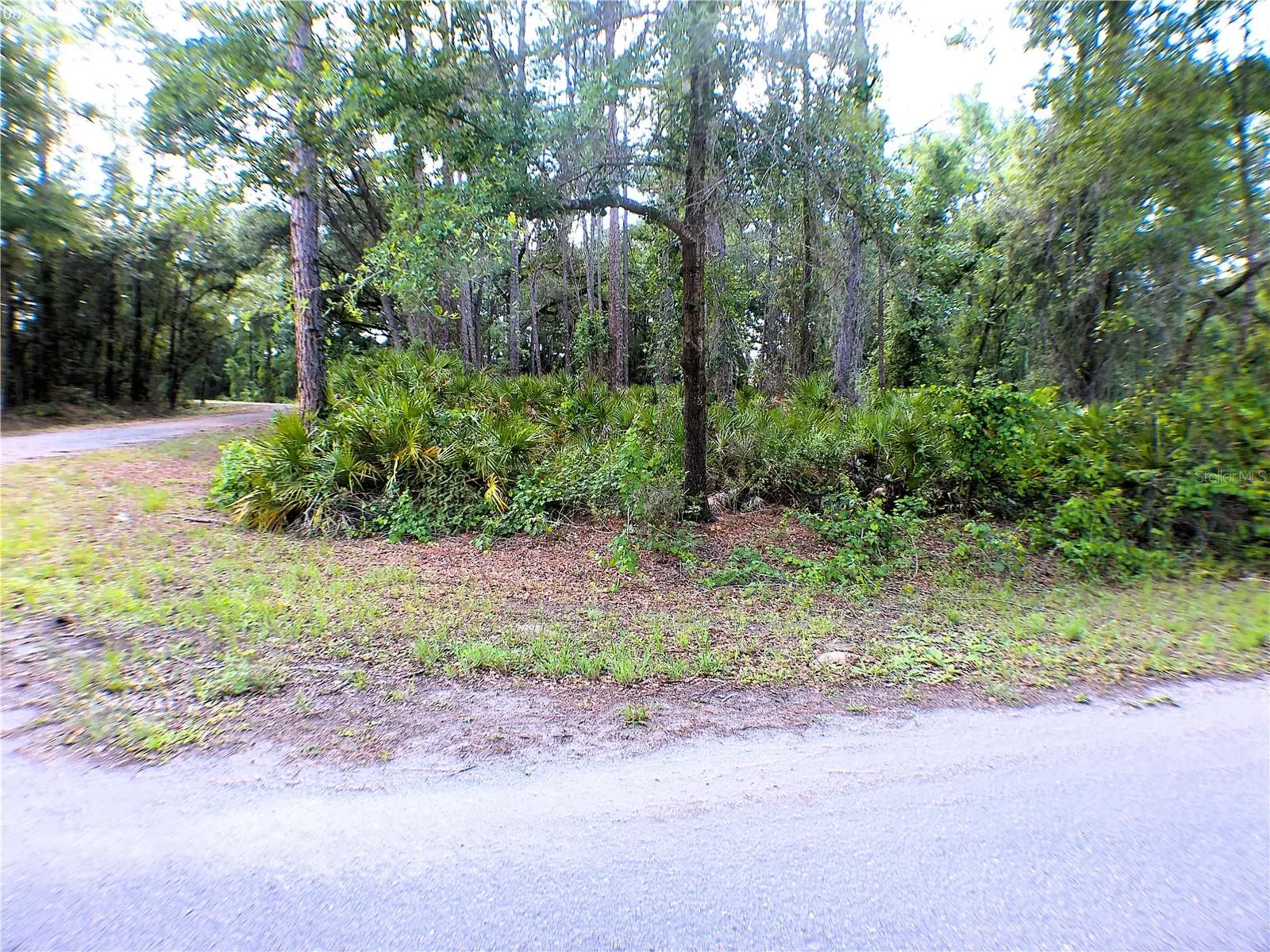 Sequoia Drive, FL