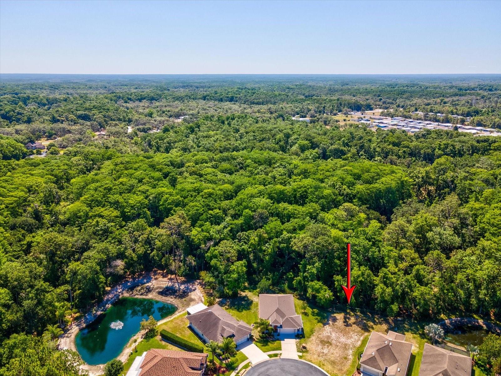 11444 Merganser Way, FL