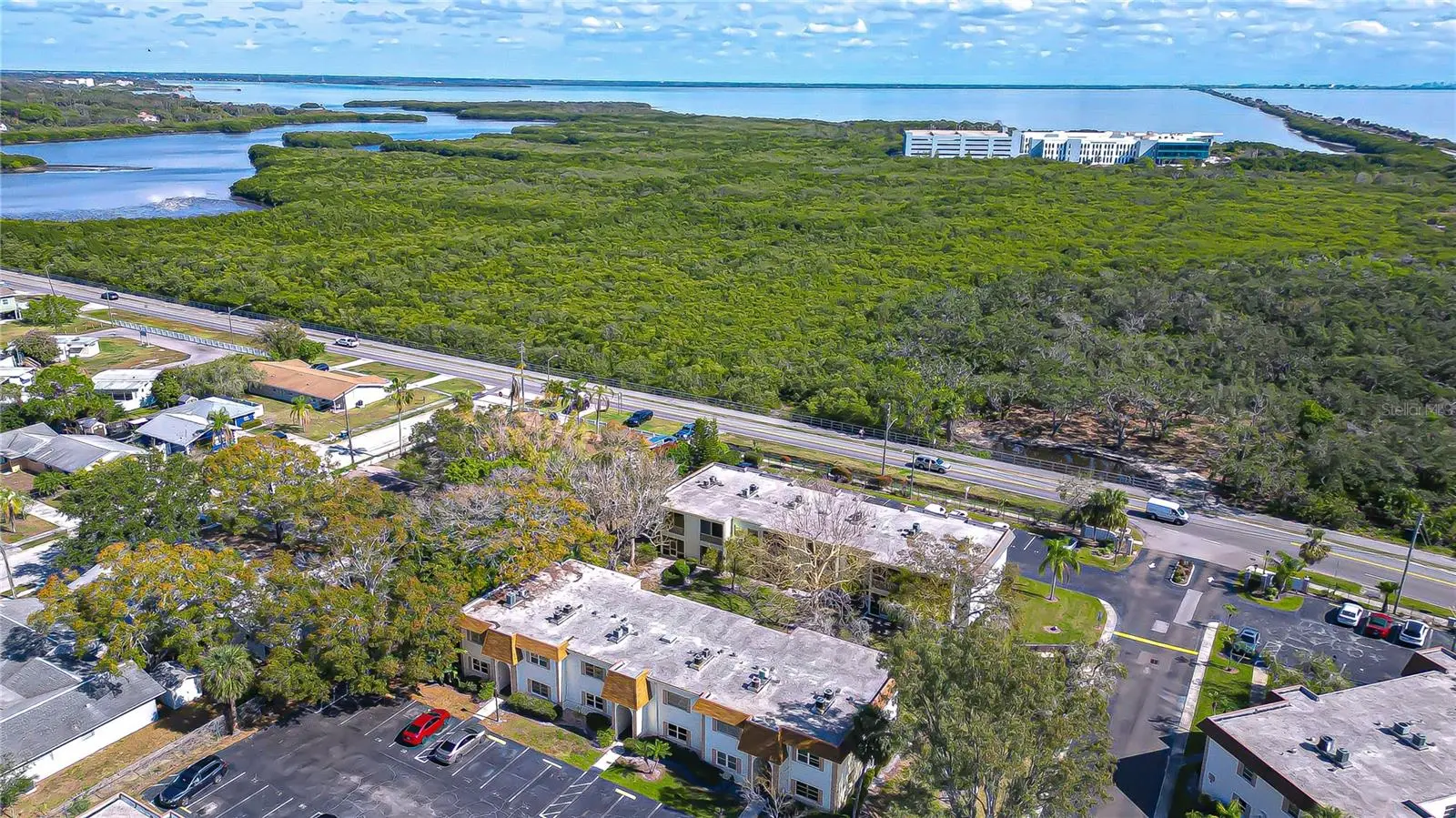 249 Mcmullen Booth Road, FL