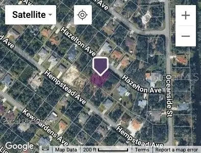 Hazelton Avenue, FL