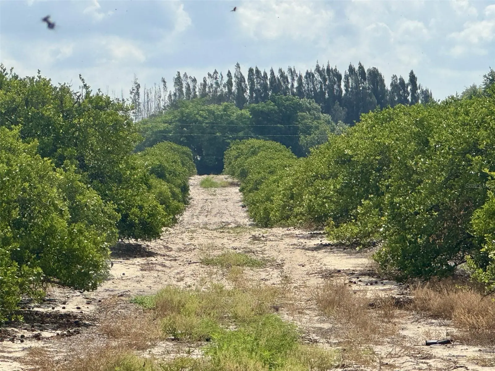 Crooked Lake Drive, FL