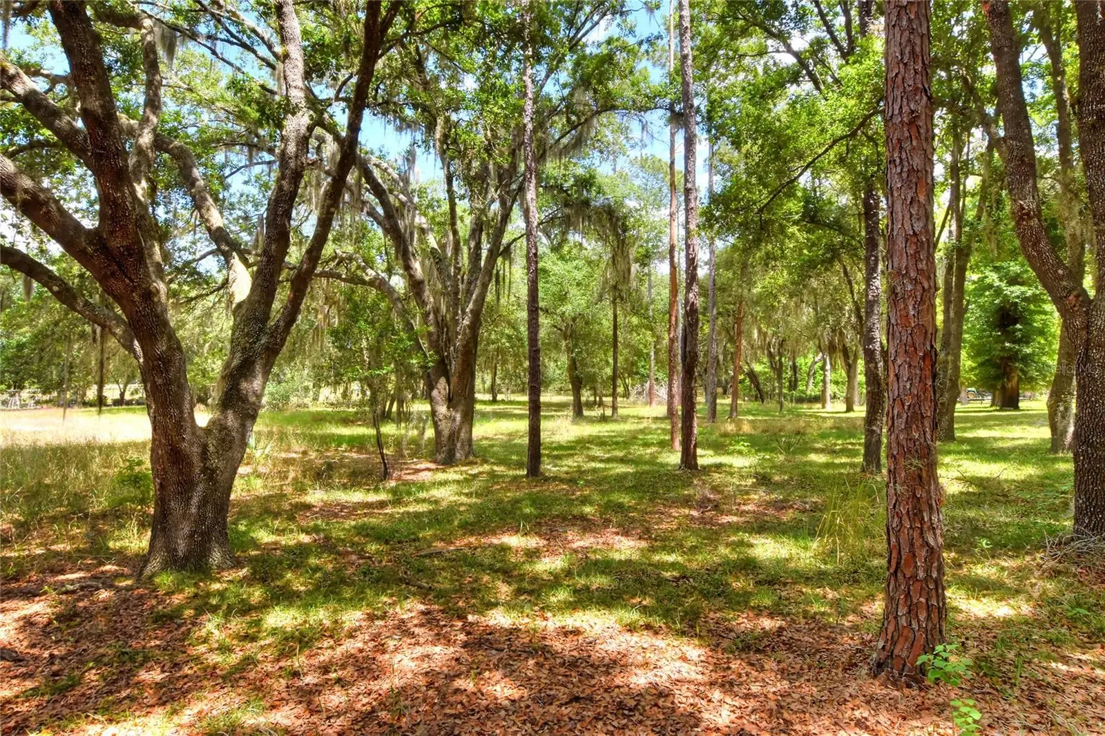 1885 Pfundstein Road, FL