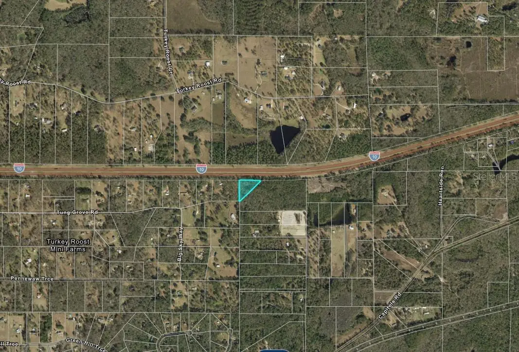 13-19-20-218-0000 Tung Grove Road, FL