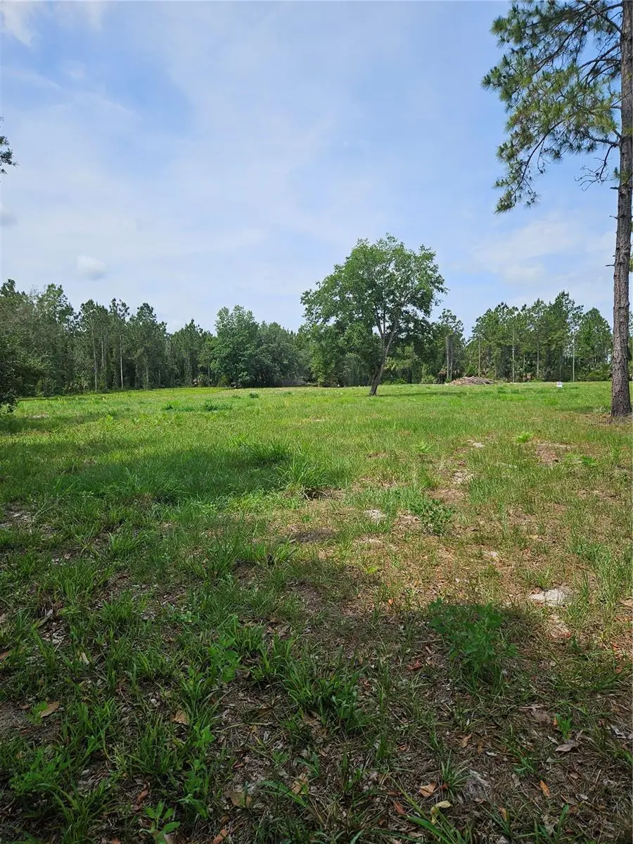 Geneva Woods Cove, FL