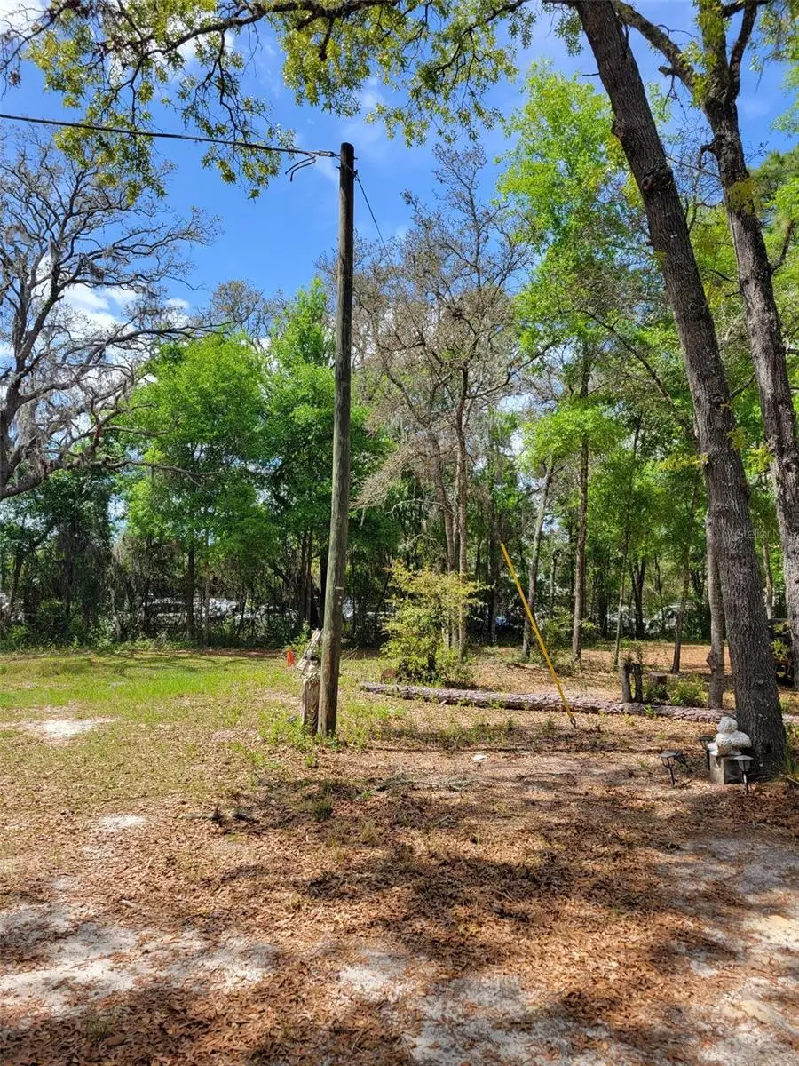 BELLEVIEW, FL