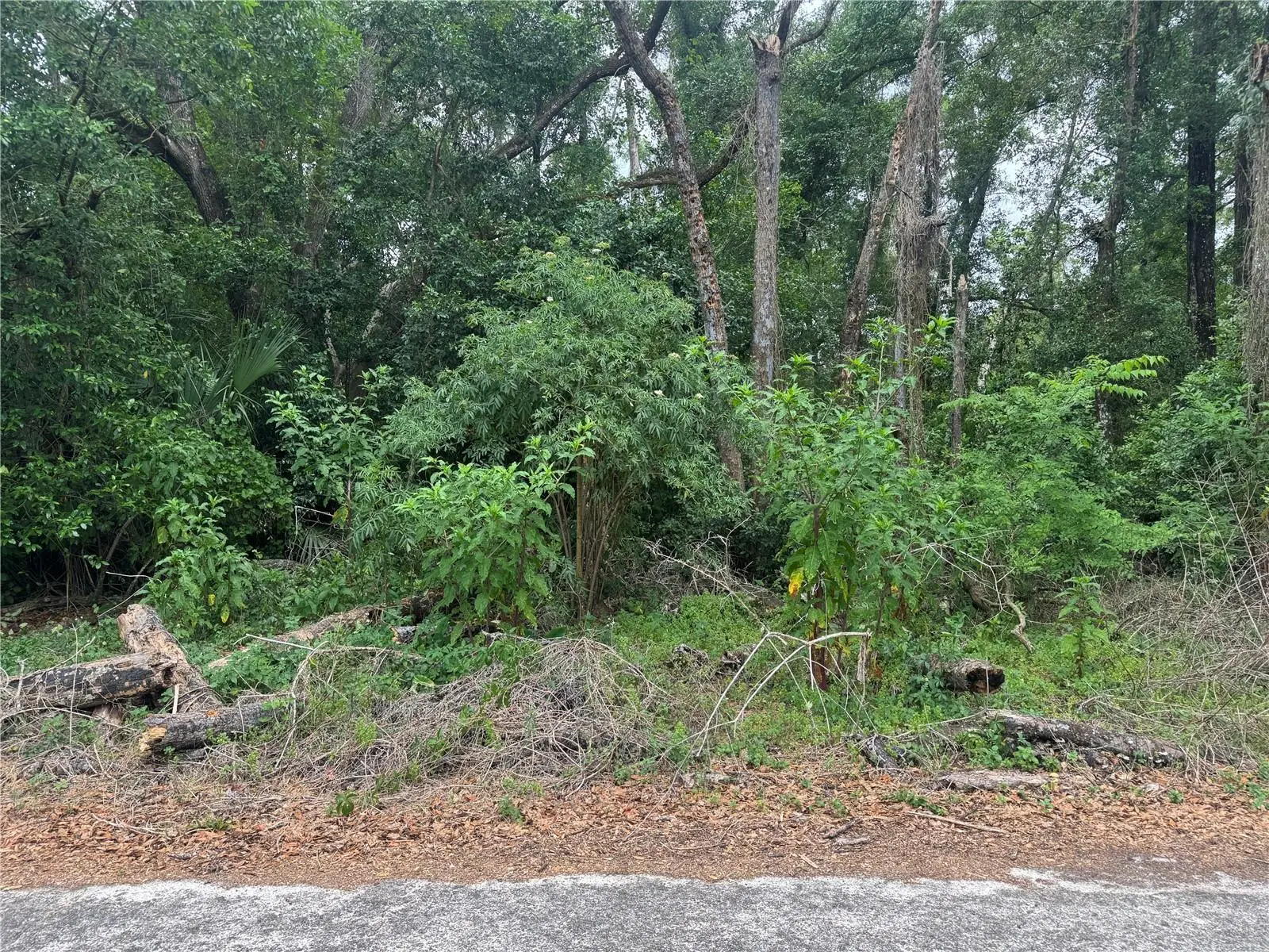 3638 Lee Drive, FL