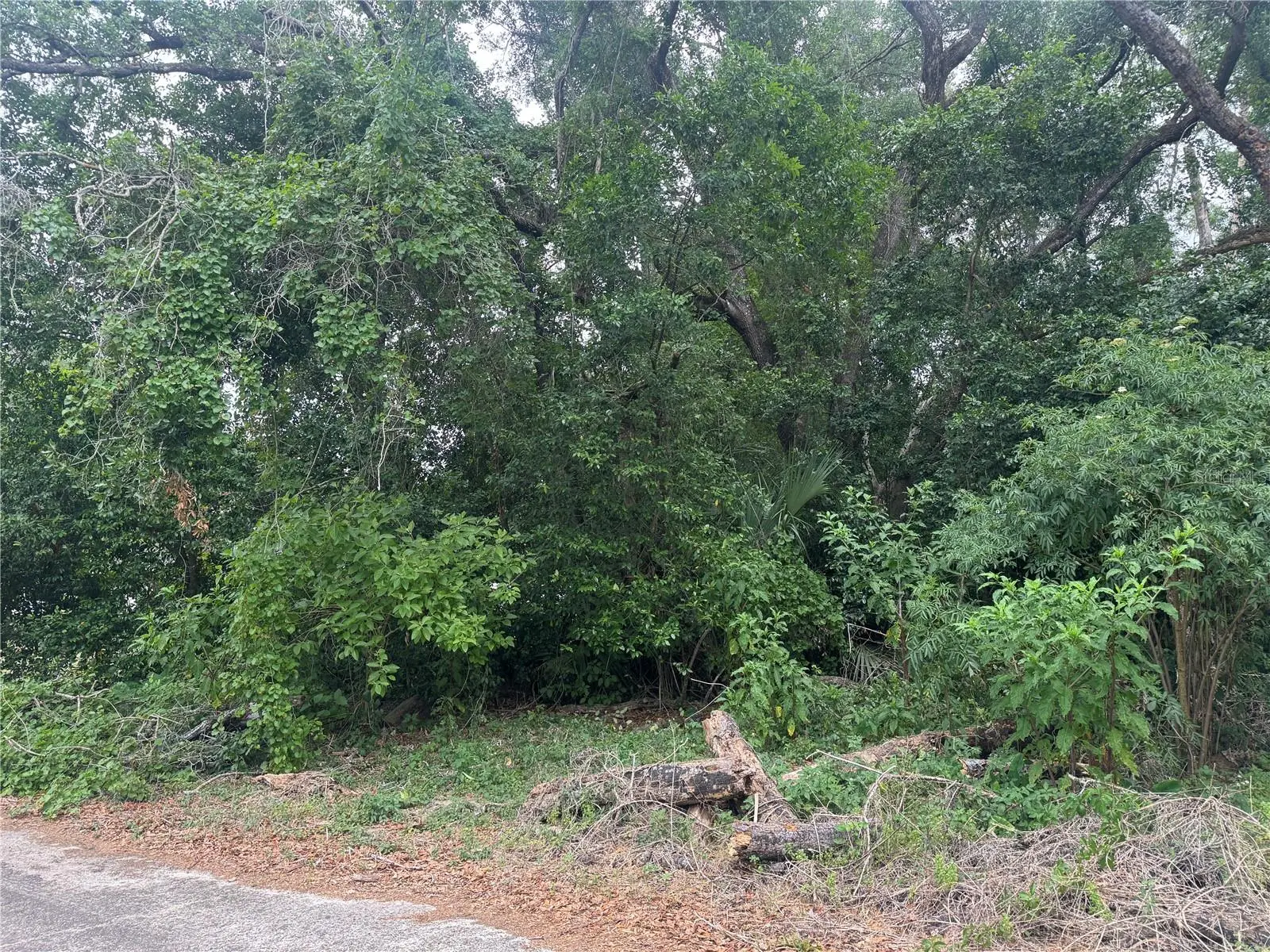 3638 Lee Drive, FL