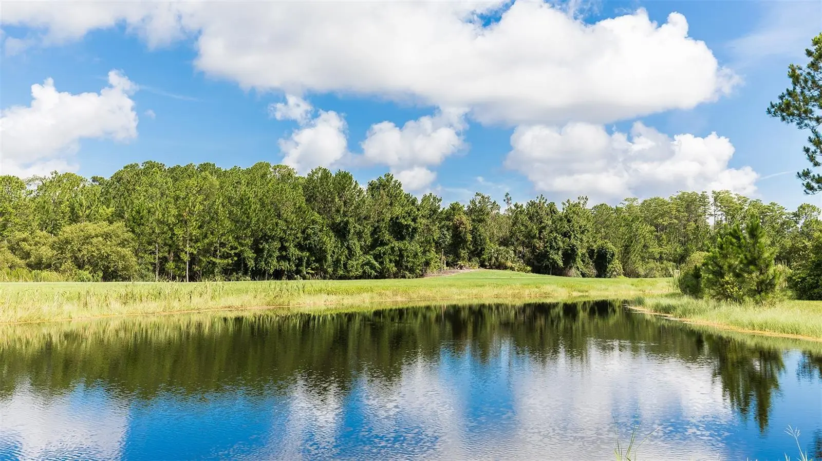 17 Divot Place, FL