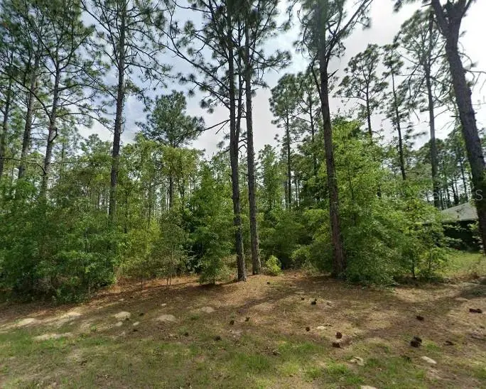 1204 Fan Drive, FL