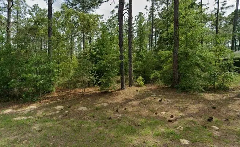 1204 Fan Drive, FL