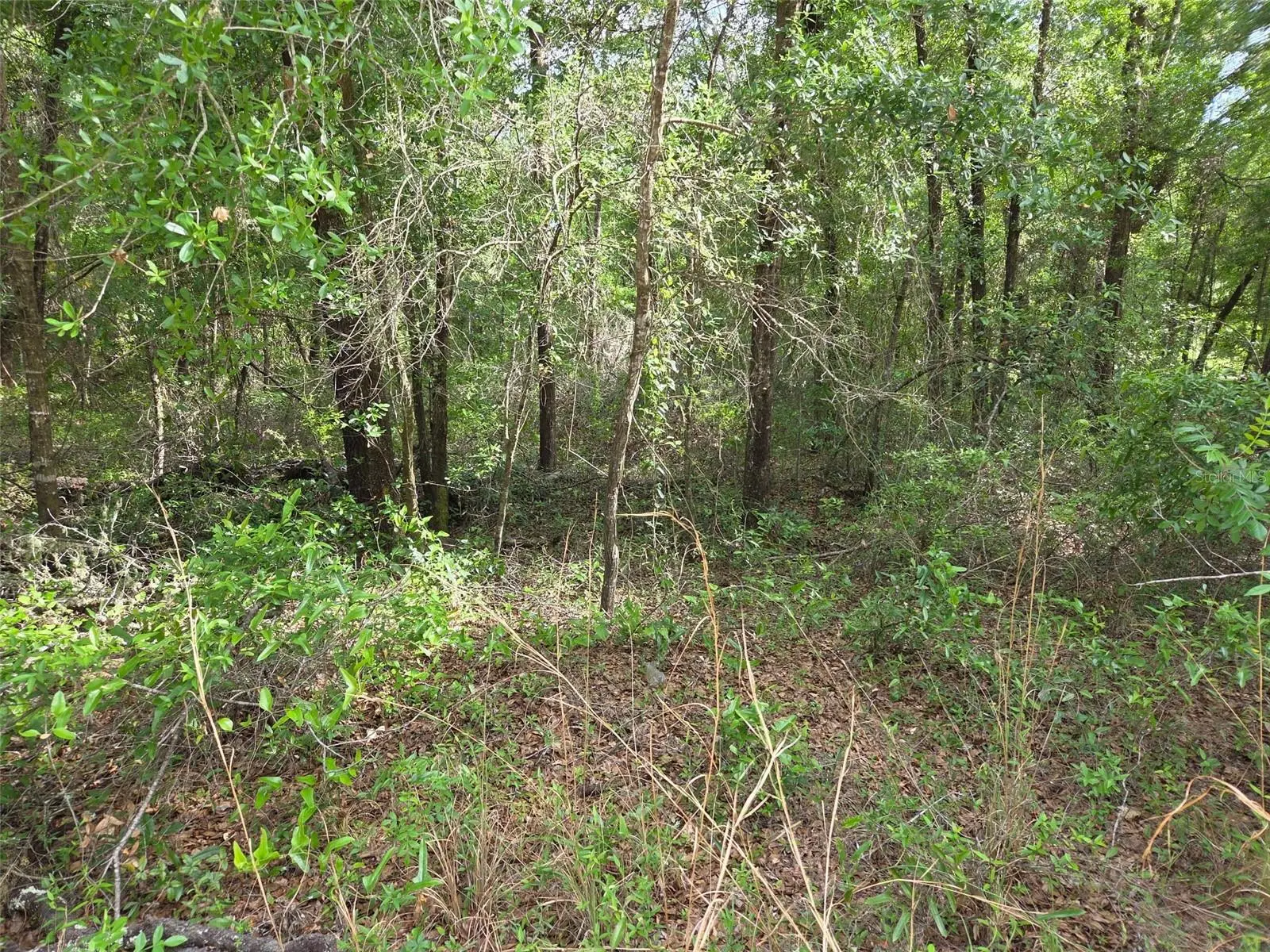 0000 85th Street, FL