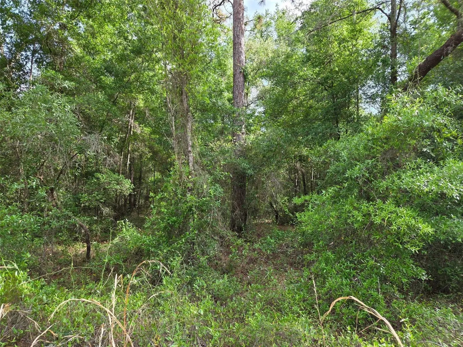 0000 85th Street, FL