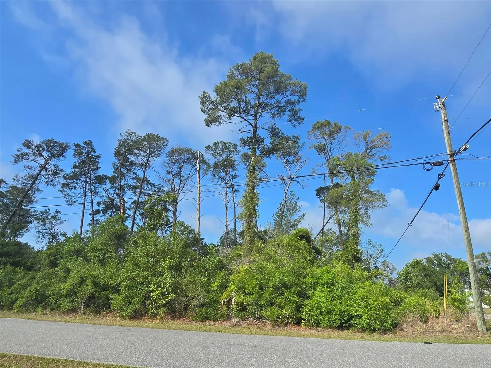 10044 Noddy Tern Road, FL