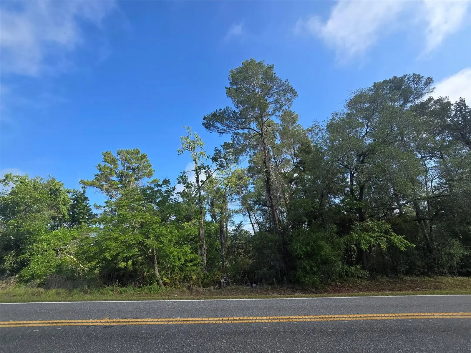 10185 Noddy Tern Road, FL