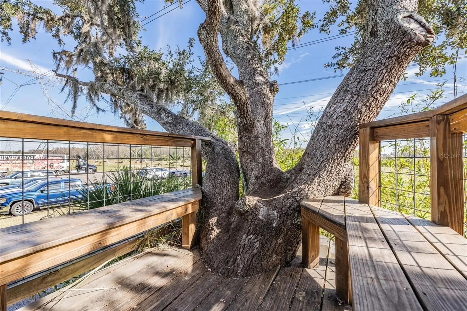 10426 Mount Dora Street, FL