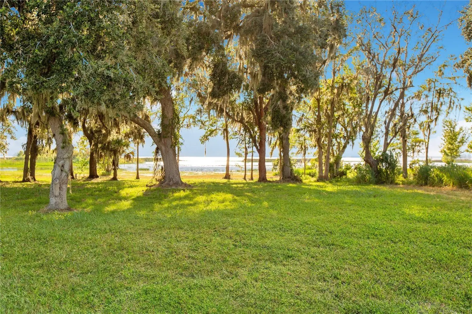 4810 Calasans Avenue, FL