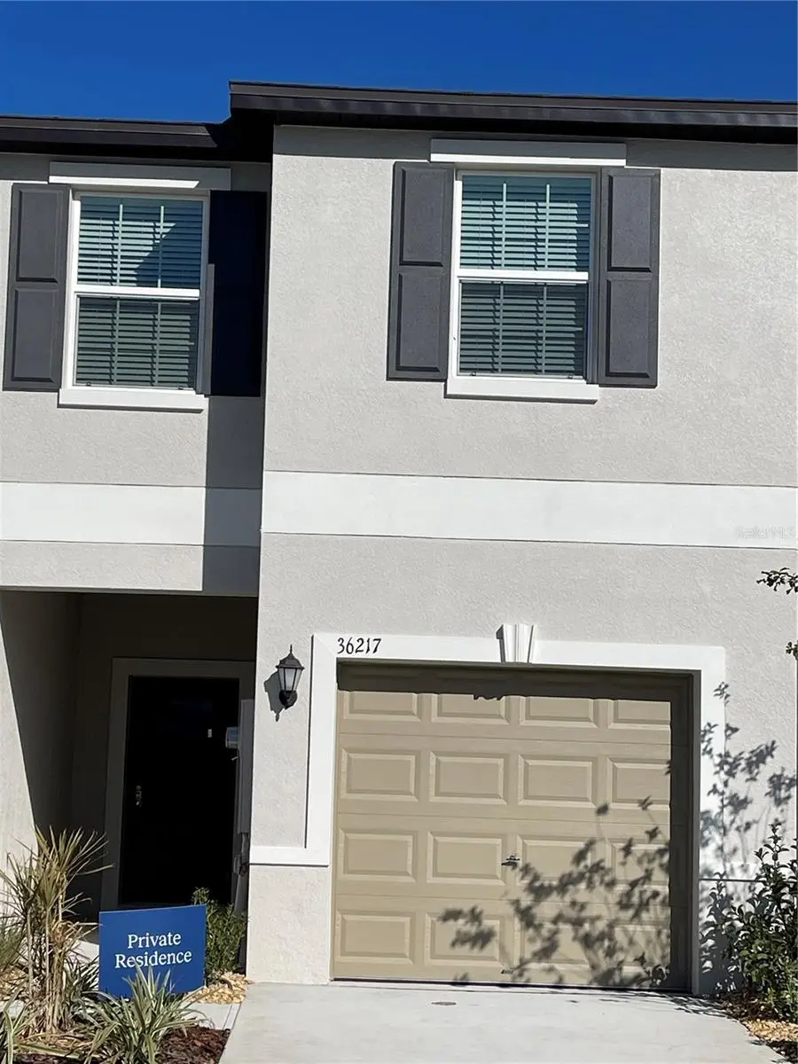 36217 Risa Michele Street, FL