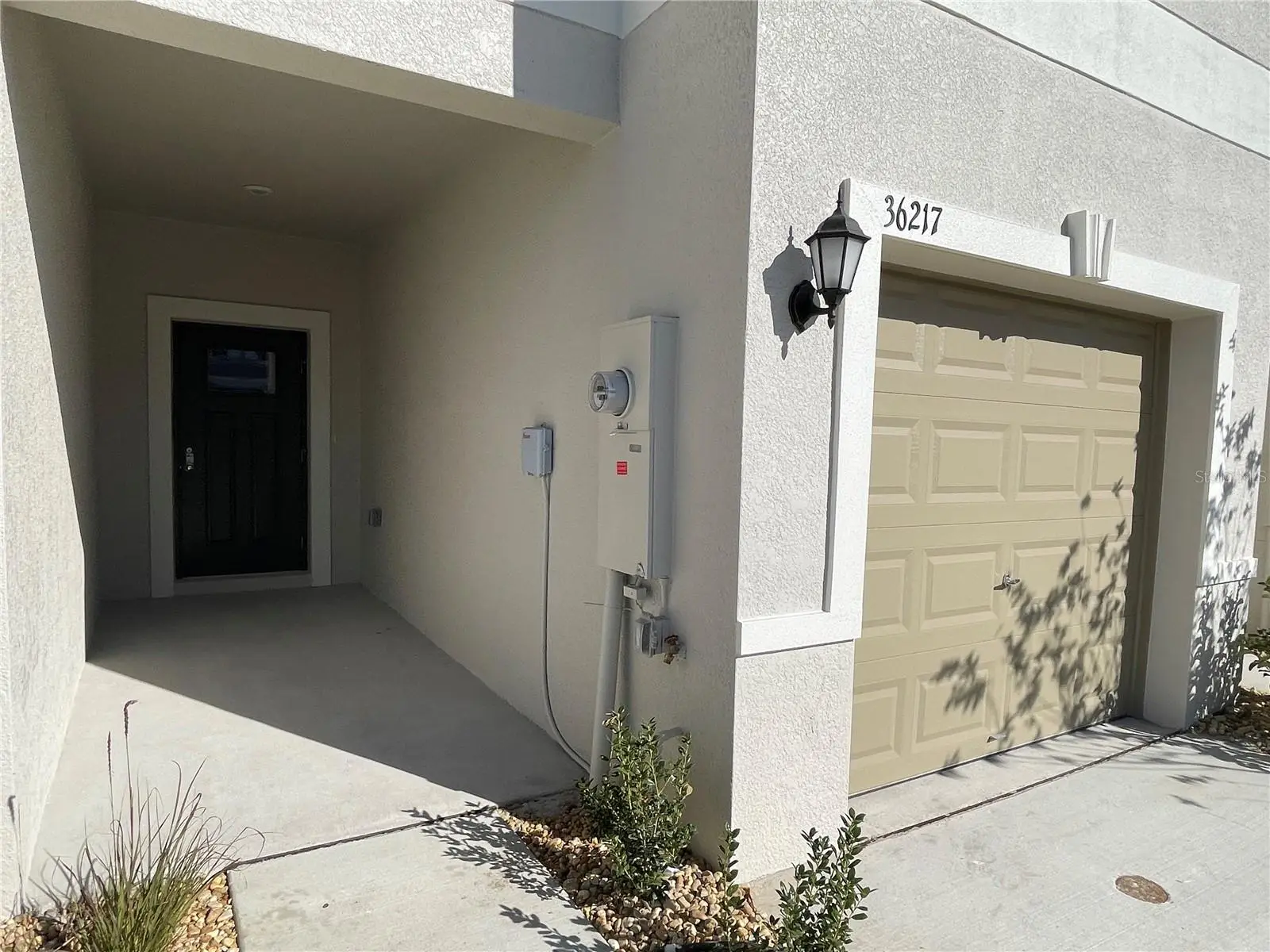 36217 Risa Michele Street, FL
