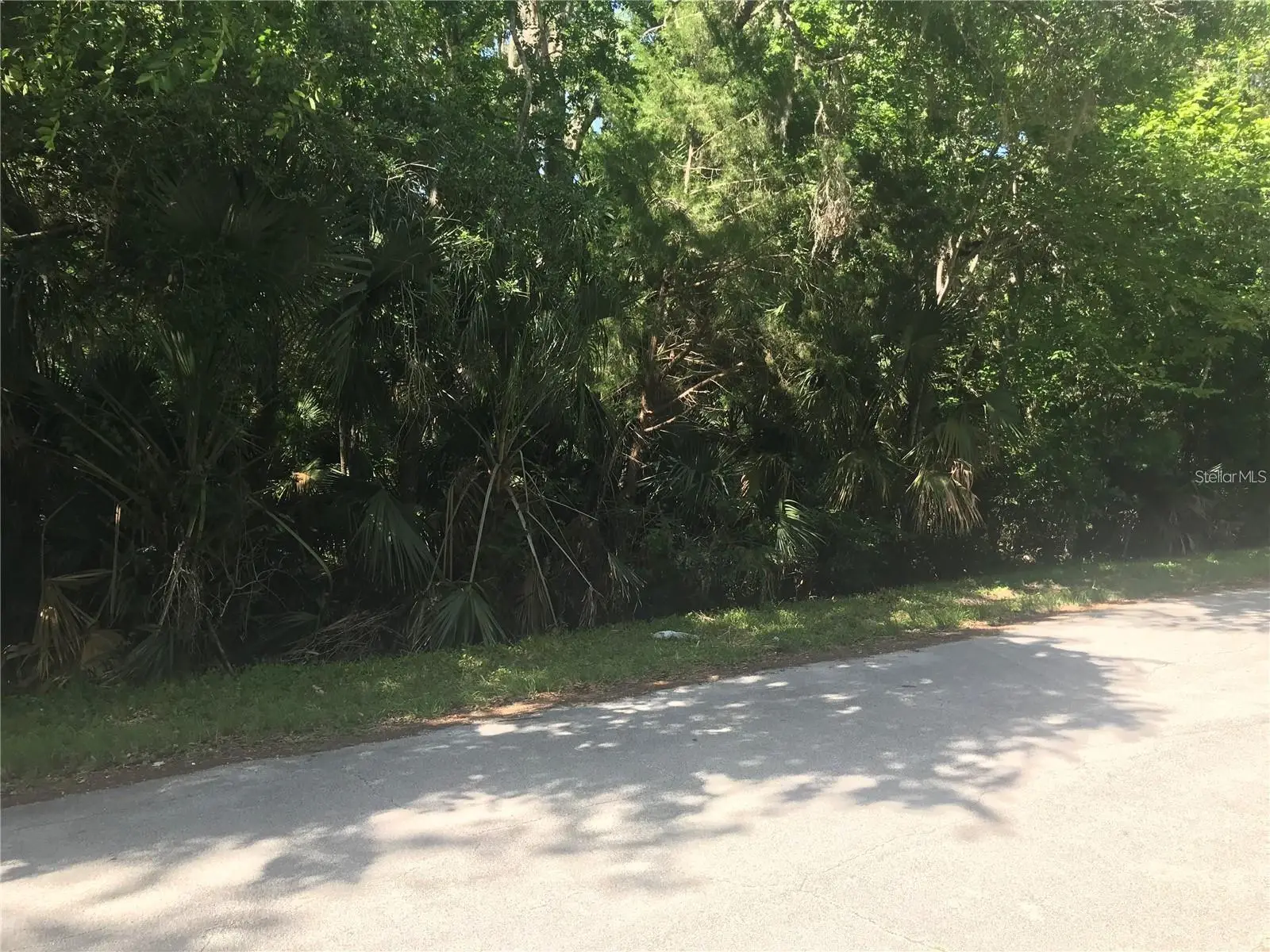 Elizabeth Street, FL