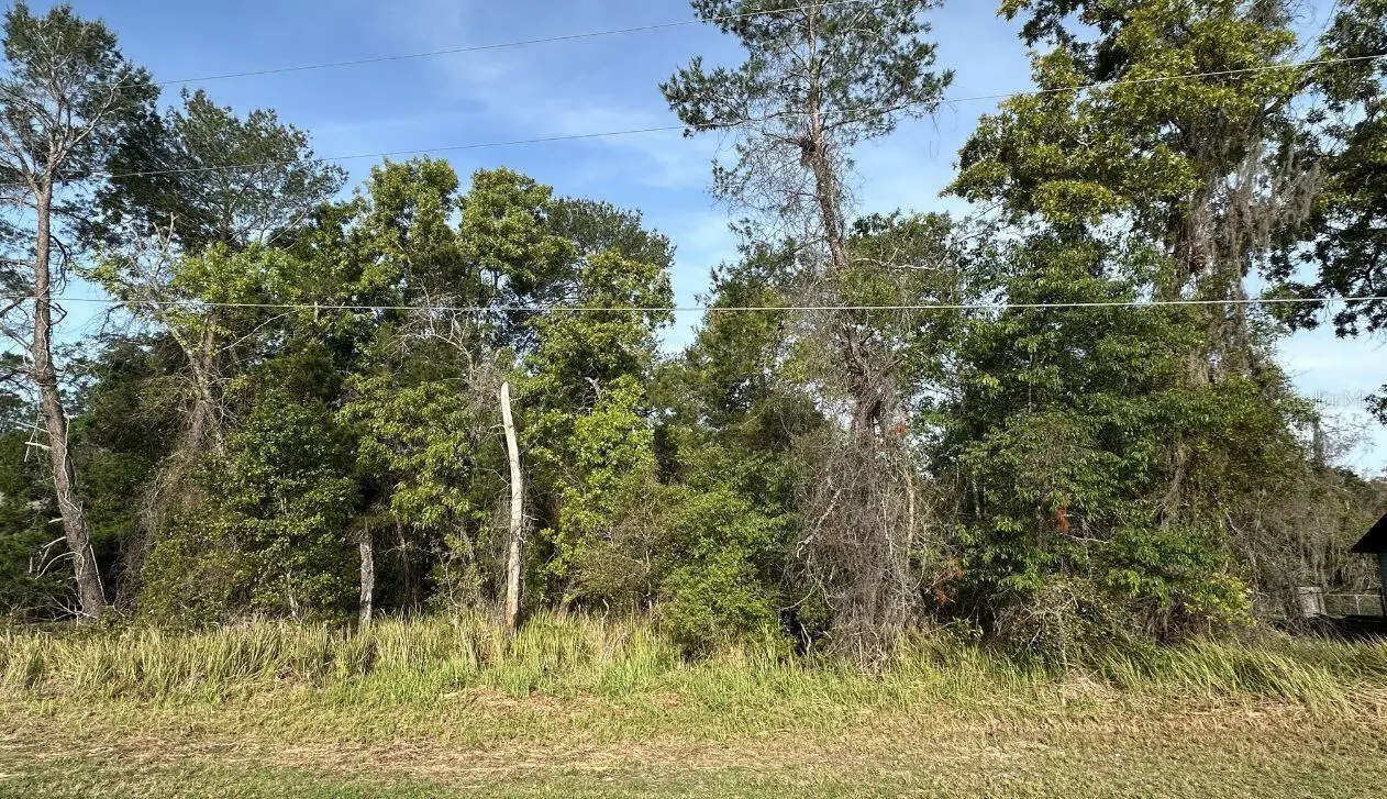 0 Olive Circle, FL
