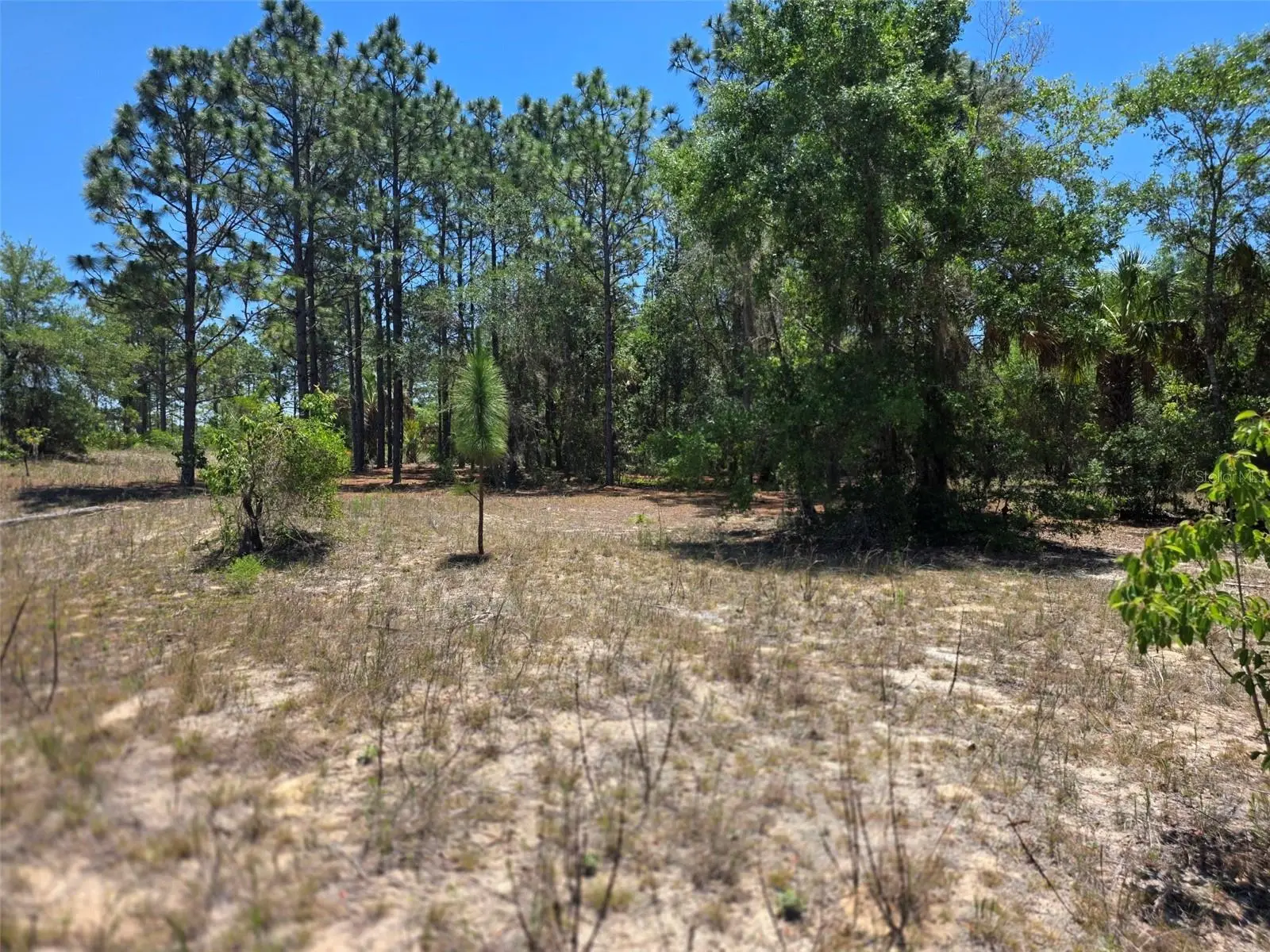 11837 Captiva Terrace, FL