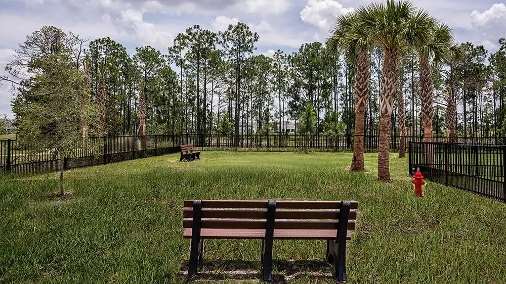 14784 Field Daisy Drive, FL