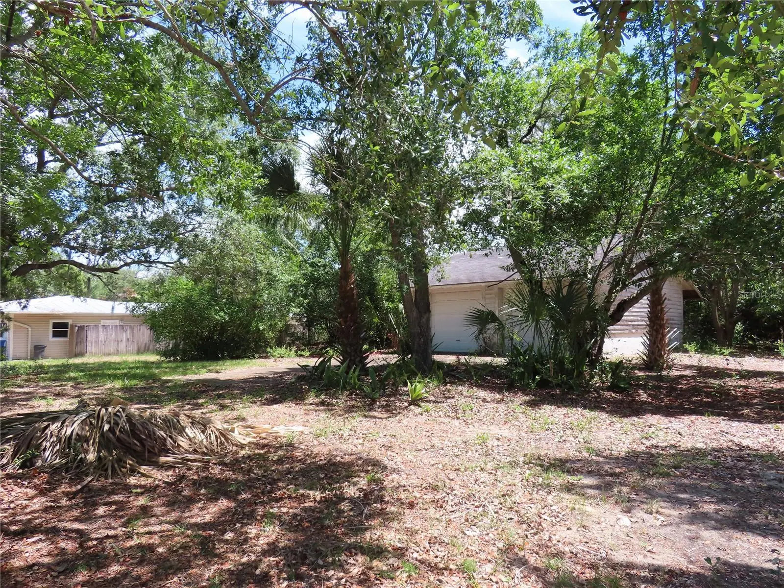 Mayo, FL