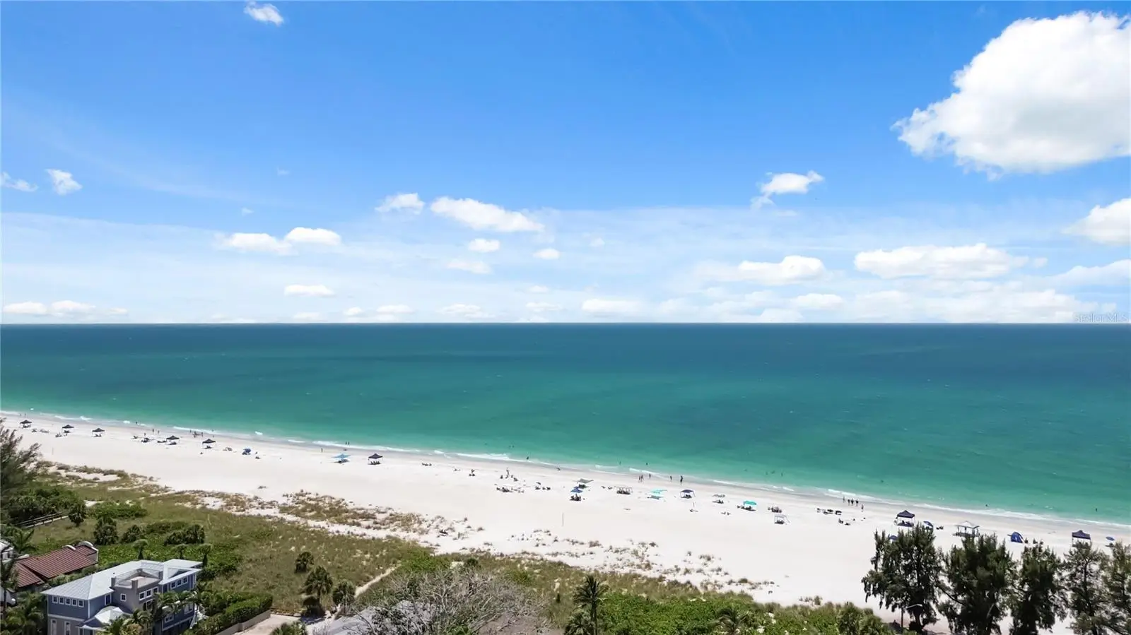 306 Palm Avenue, FL