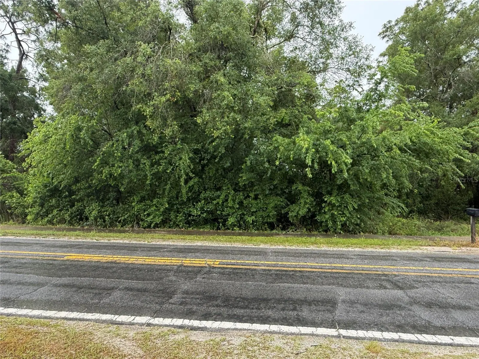 34184 Ridge Manor Blvd, FL