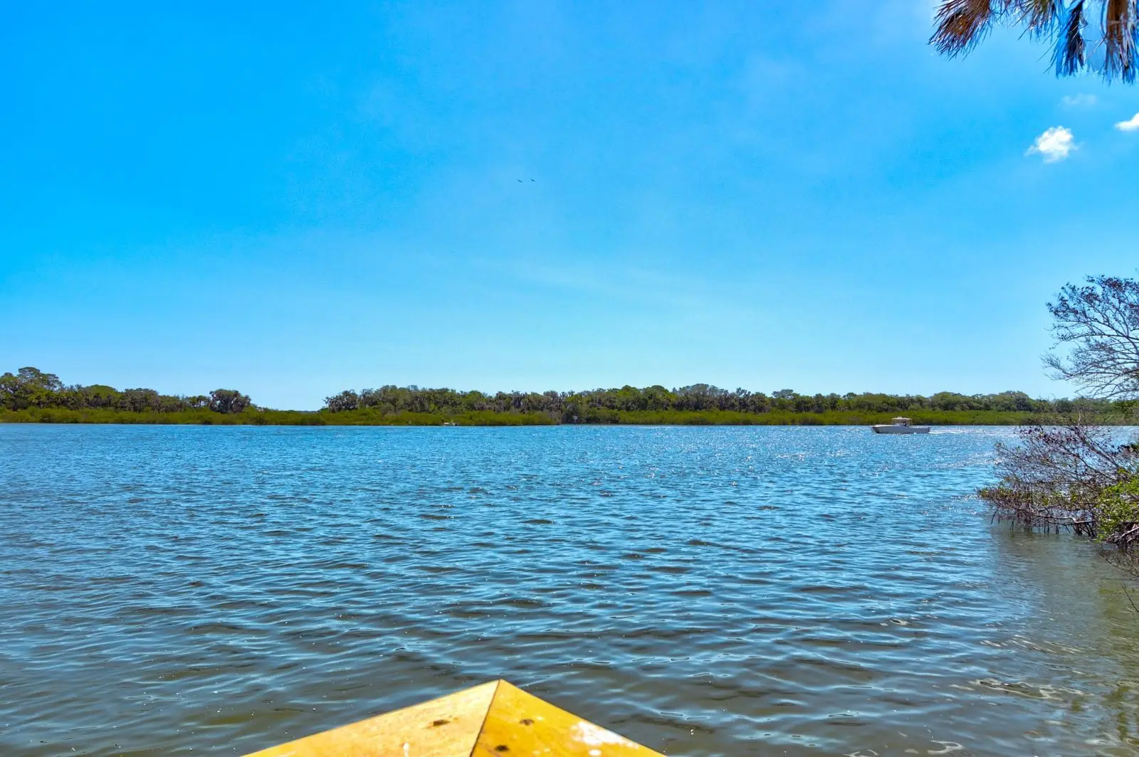 176 Jones Fish Camp Road, FL